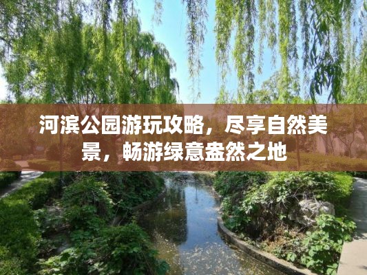 河滨公园游玩攻略，尽享自然美景，畅游绿意盎然之地