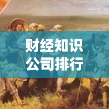 财经知识公司排行榜揭晓，行业领导者和引领者一览无余
