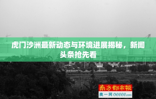 虎门沙洲最新动态与环境进展揭秘，新闻头条抢先看