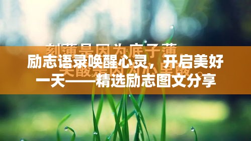 励志语录唤醒心灵，开启美好一天——精选励志图文分享