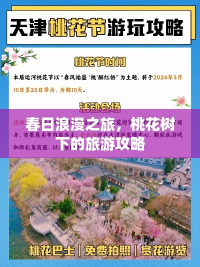 2025年5月19日