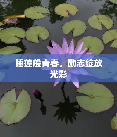 睡莲般青春，励志绽放光彩