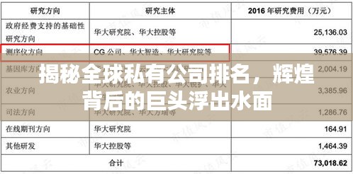 揭秘全球私有公司排名，辉煌背后的巨头浮出水面