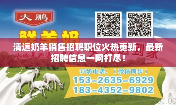 清远奶羊销售招聘职位火热更新，最新招聘信息一网打尽！