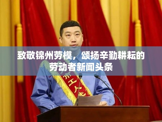 致敬锦州劳模，颂扬辛勤耕耘的劳动者新闻头条