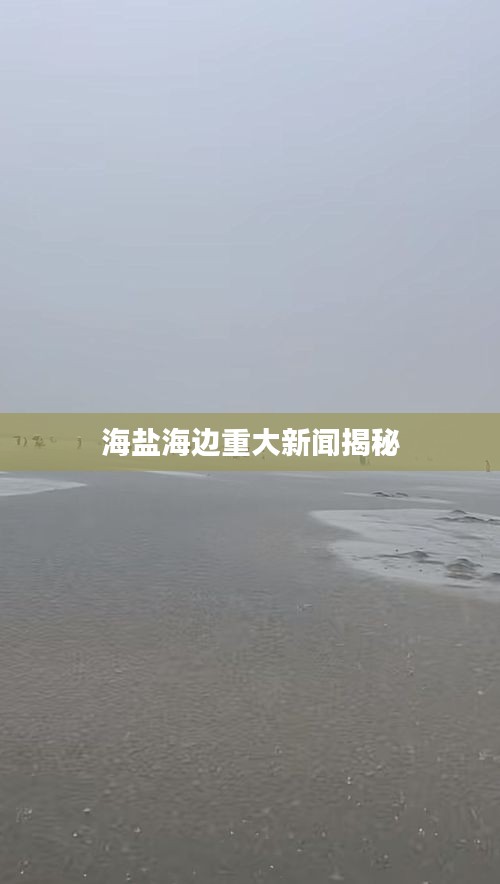 海盐海边重大新闻揭秘