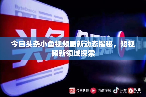 今日头条小鱼视频最新动态揭秘，短视频新领域探索