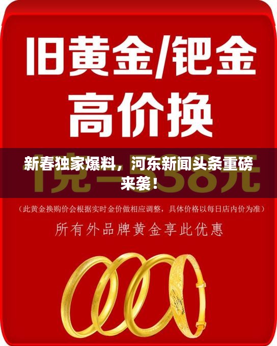 新春独家爆料，河东新闻头条重磅来袭！