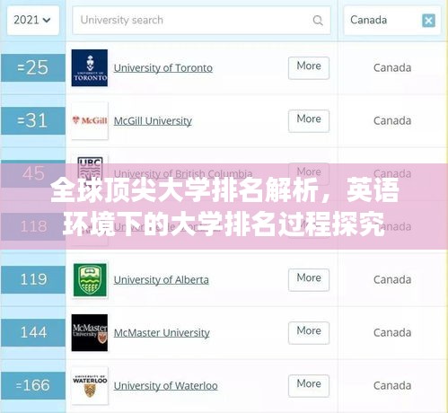 全球顶尖大学排名解析，英语环境下的大学排名过程探究
