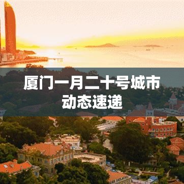 厦门一月二十号城市动态速递