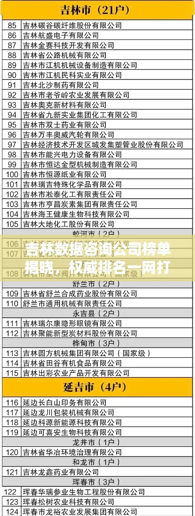 吉林数据咨询公司榜单揭晓，权威排名一网打尽！