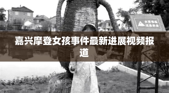 嘉兴摩登女孩事件最新进展视频报道