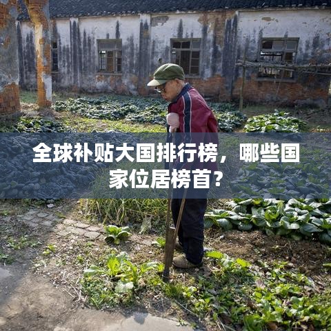 全球补贴大国排行榜，哪些国家位居榜首？