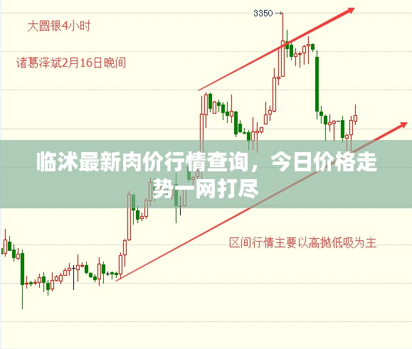临沭最新肉价行情查询，今日价格走势一网打尽