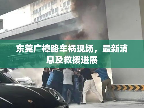 东莞广樟路车祸现场，最新消息及救援进展