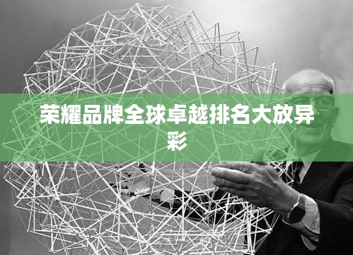 荣耀品牌全球卓越排名大放异彩