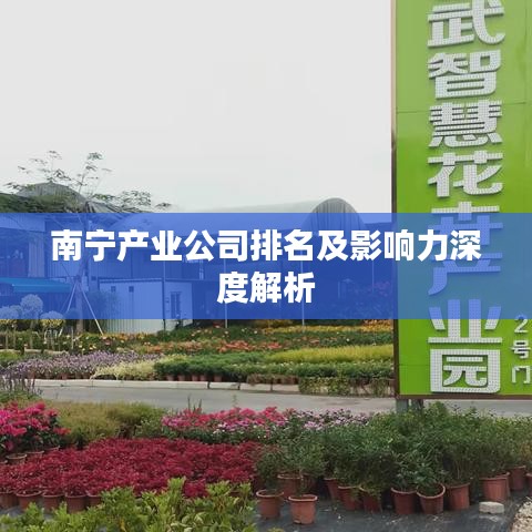 南宁产业公司排名及影响力深度解析