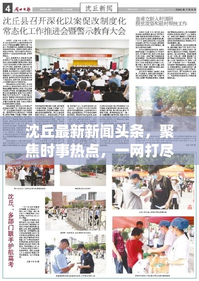 沈丘最新新闻头条，聚焦时事热点，一网打尽！