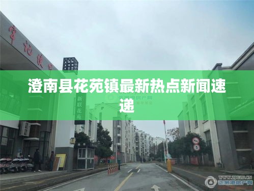 澄南县花苑镇最新热点新闻速递