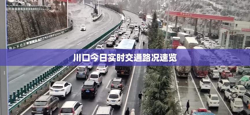 川口今日实时交通路况速览