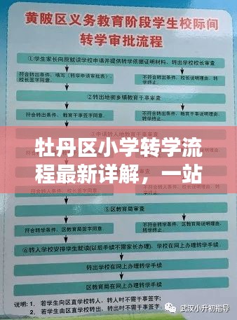 牡丹区小学转学流程最新详解，一站式了解转学步骤与要求