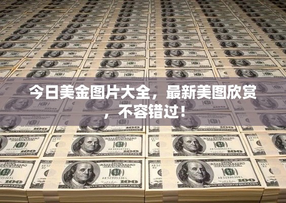 今日美金图片大全，最新美图欣赏，不容错过！