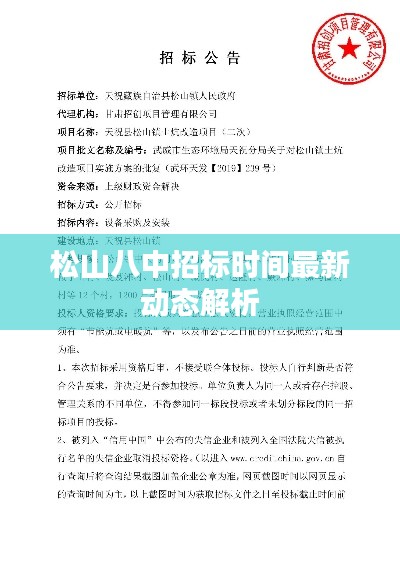 松山八中招标时间最新动态解析