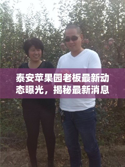泰安苹果园老板最新动态曝光，揭秘最新消息