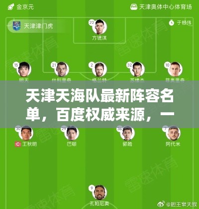 天津天海队最新阵容名单，百度权威来源，一键了解！