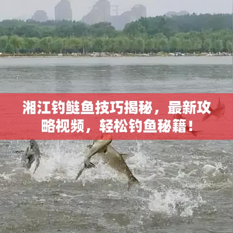 2025年6月4日 第2页