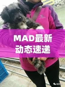 MAD最新动态速递，今日消息一网打尽