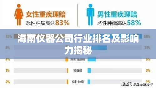 海南仪器公司行业排名及影响力揭秘