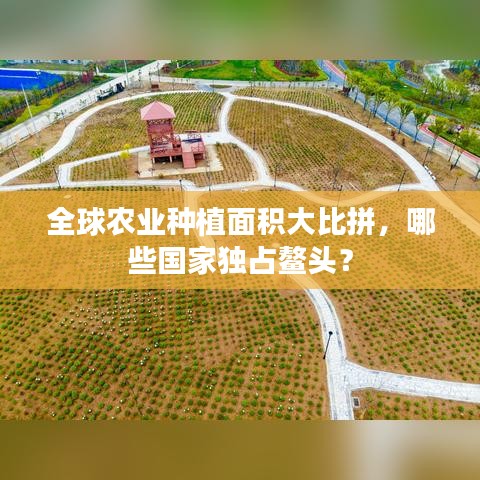 全球农业种植面积大比拼，哪些国家独占鳌头？