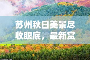苏州秋日美景尽收眼底，最新赏秋攻略指南