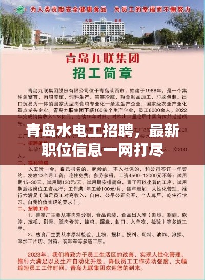 青岛水电工招聘，最新职位信息一网打尽