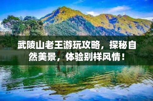 武陵山老王游玩攻略，探秘自然美景，体验别样风情！