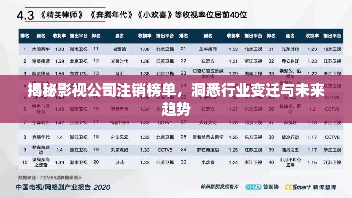 揭秘影视公司注销榜单，洞悉行业变迁与未来趋势
