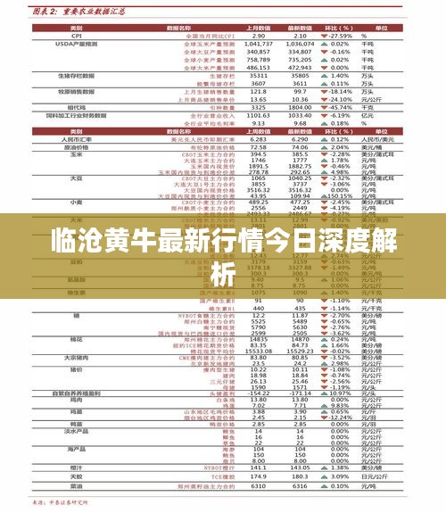 临沧黄牛最新行情今日深度解析
