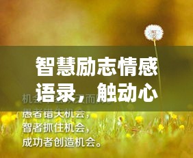 智慧励志情感语录，触动心灵深处的力量