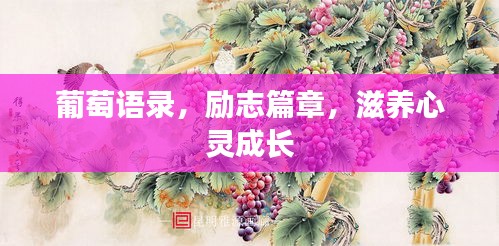 葡萄语录，励志篇章，滋养心灵成长