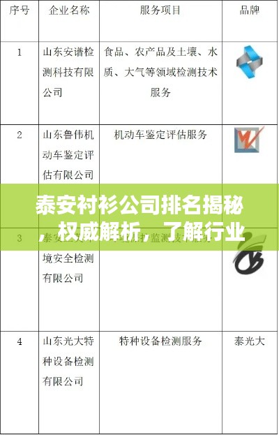 泰安衬衫公司排名揭秘，权威解析，了解行业地位！
