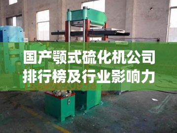 国产颚式硫化机公司排行榜及行业影响力解析