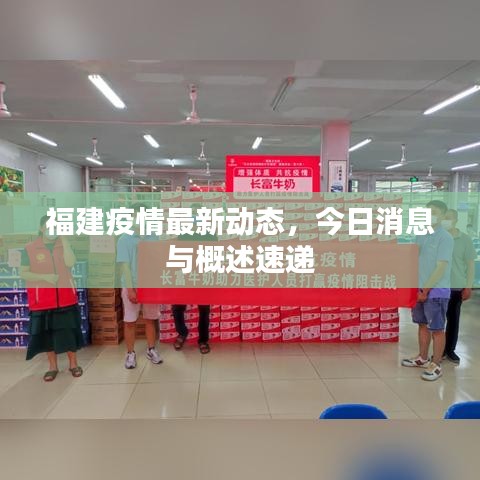 福建疫情最新动态，今日消息与概述速递