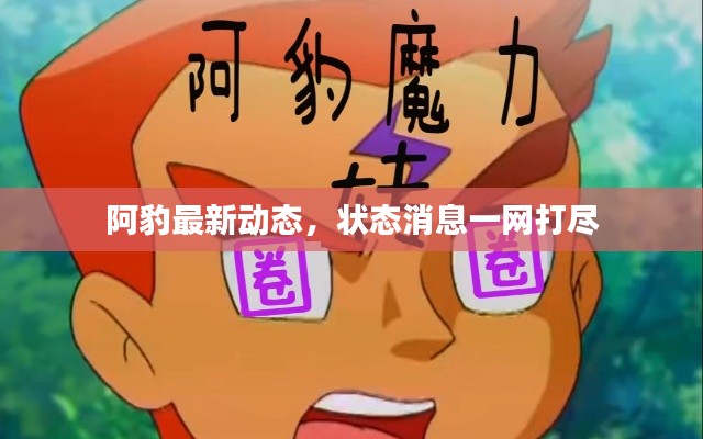 阿豹最新动态，状态消息一网打尽