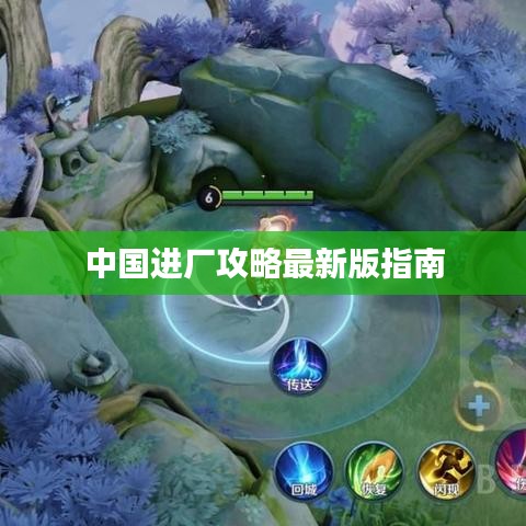 中国进厂攻略最新版指南