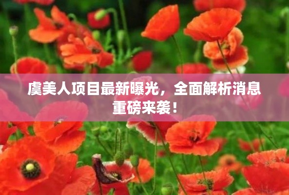 虞美人项目最新曝光，全面解析消息重磅来袭！