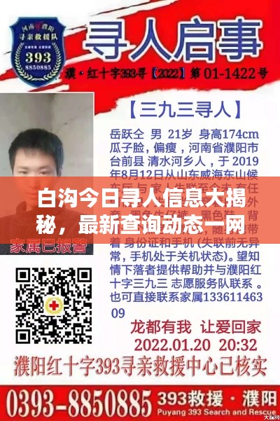 白沟今日寻人信息大揭秘，最新查询动态一网打尽