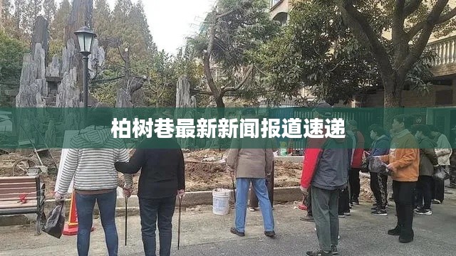 柏树巷最新新闻报道速递