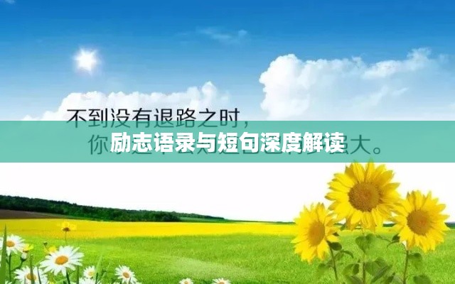 励志语录与短句深度解读