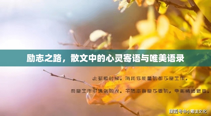 励志之路，散文中的心灵寄语与唯美语录